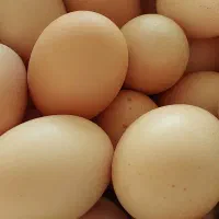 تخم مرغ محلی