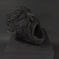 مجسمه سر انسان