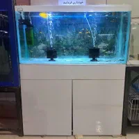اکواریوم دست دوم AQUA SEYF|ماهی|زنجان, |دیوار