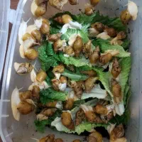 حلزون|خزنده|ساوه, |دیوار