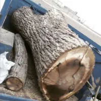 خرید چوب|خدمات باغبانی و درختکاری|گلبهار, شهر جدید گلبهار|دیوار