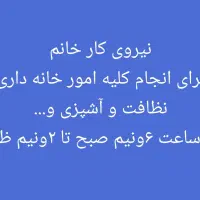 پرستار خانم جهت انجام آشپزی و کارهای خانه