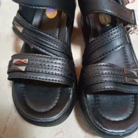 حراج مجلسی و صندل شیک|حراج|زابل, |دیوار