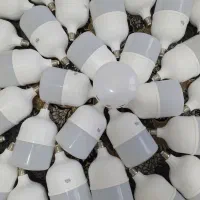 لامپ 60وات فقط145هزار باضمانت