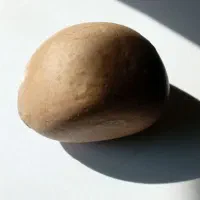 سنگ آسیابی بسیار  شهاب بالماس سیاه|کلکسیون اشیاء عتیقه|گلبهار, شهر جدید گلبهار|دیوار