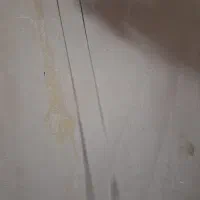 گردنبندماری|بدلیجات|آزادشهر, |دیوار