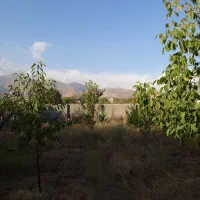 باغچه ۳۰۰ متری در روستای زان آبسرد|فروش زمین و ملک کلنگی|دماوند, دماوند|دیوار