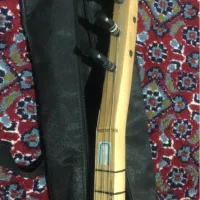 موسیقی|سازهای سنتی|سلماس, |دیوار