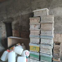 کندو خالی و طبق|حیوانات مزرعه|رامیان, |دیوار