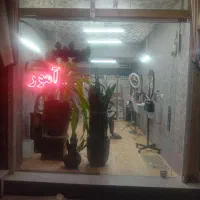 اصلاح رایگان مو