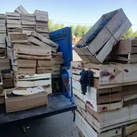 انگور دیم سردشت