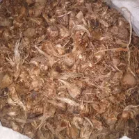 زعفرون پیاز