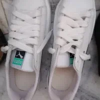 کفش فقط 550 تومن