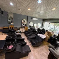 صندلی سرشستن