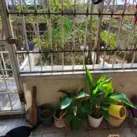 ۵۰۰زمین نیاوران۱۰۰متردنج غرق نور۷۰مترقدرالسهم۳ بر|فروش آپارتمان|تهران, کامرانیه|دیوار