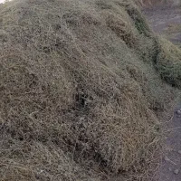 یونجه خشک|خدمات باغبانی و درختکاری|سرداران, |دیوار