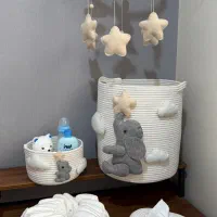 سبد نظم دهنده سیسمونی