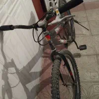 دوچرخه NEXT|دوچرخه، اسکیت، اسکوتر|عجب شیر, |دیوار