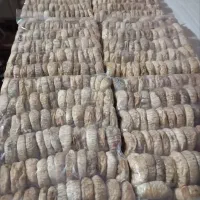 انجیر درشت ودرجه یک