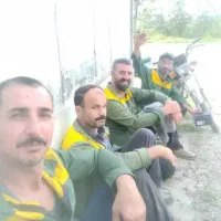 دستگاه زنی باغ وزمین هرس انواع مختلف درخت