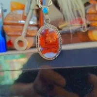 گردنی شجر قدیمی زیبا