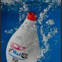 محصول شوینده ی چند کاره ی بودیت