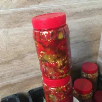 ترشی خانگی|خوردنی و آشامیدنی|هشتگرد, فاز ۱ مهستان|دیوار