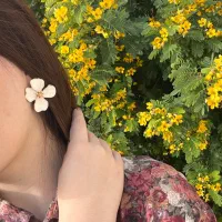 اکسسوری استیل رنگ ثابت قیمت از ۱۱۰ تا ۴۱۰