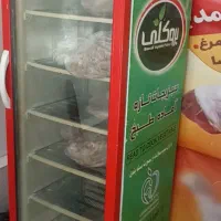فریزر ایستاده