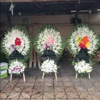 پایه گل های ختمی و جشنی