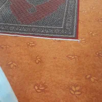 قالی و موکت|فرش|کامیاران, |دیوار