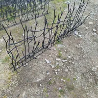 حفاظ شاخ گوزنی|مصالح و تجهیزات ساختمان|کیاشهر, |دیوار