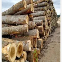 خرید چوب باغی و...