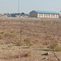 زمین مناسب باغچه و گلخانه