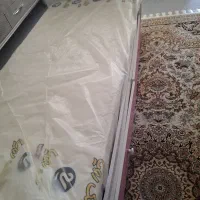 تخت نوجوان کیتی