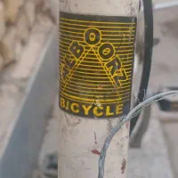 دوچرخه ۲۴|دوچرخه، اسکیت، اسکوتر|اصفهان, شهرک کاوه|دیوار