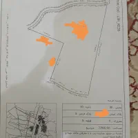 فروش زمین|فروش دفتر صنعتی، کشاورزی، تجاری|برازجان, |دیوار