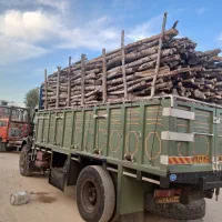 نیازمند به یک راننده پایه 1تک باری
