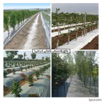 کاور (مالچ) کشاورزی و درختی