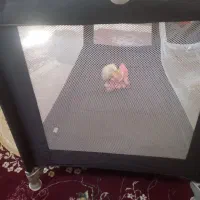 تاشو ننو|اسباب و اثاث بچه|فردیس, قریشی|دیوار