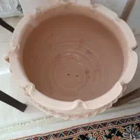 گلدان|گل و گیاه طبیعی|تربتحیدریه, منصوریه|دیوار