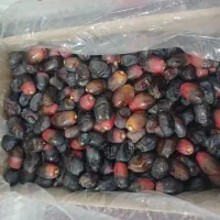 خرما|خوردنی و آشامیدنی|گناباد, |دیوار