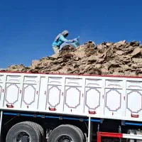 فروش کود مرغ سالنی به شرط|خدمات باغبانی و درختکاری|بندر کنگان, |دیوار