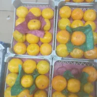 نارنگی|خوردنی و آشامیدنی|قیدار, |دیوار