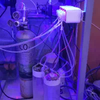 آکواریوم فارم مرجانی|ماهی|شیراز, صنایع الکترونیک|دیوار