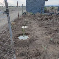 فروش زمین ۲۵۰متری مناسب باغ وباغچه مزرعه نو