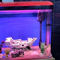 آکواریوم شرکتی با پایه چوبی|ماهی|باغستان, |دیوار