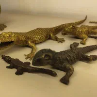 تمساح های برنزی