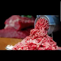 مایه کوبیده. مایه کباب .گوشت چرخورده|خوردنی و آشامیدنی|تهران, یافت آباد جنوبی|دیوار