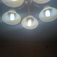 دوعدد لوستر همراه با چراغ